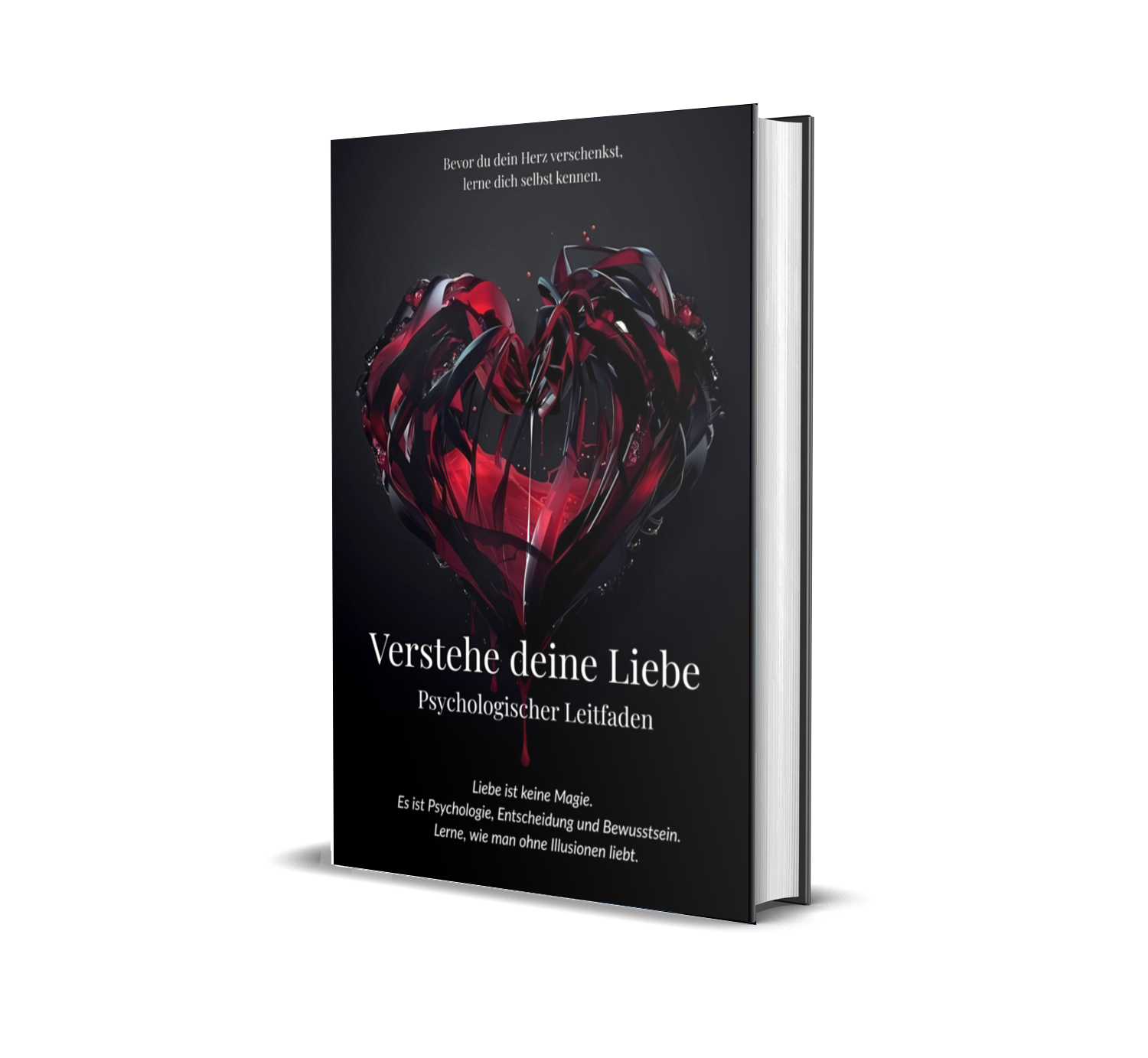 Verstehe deine Liebe E-Book